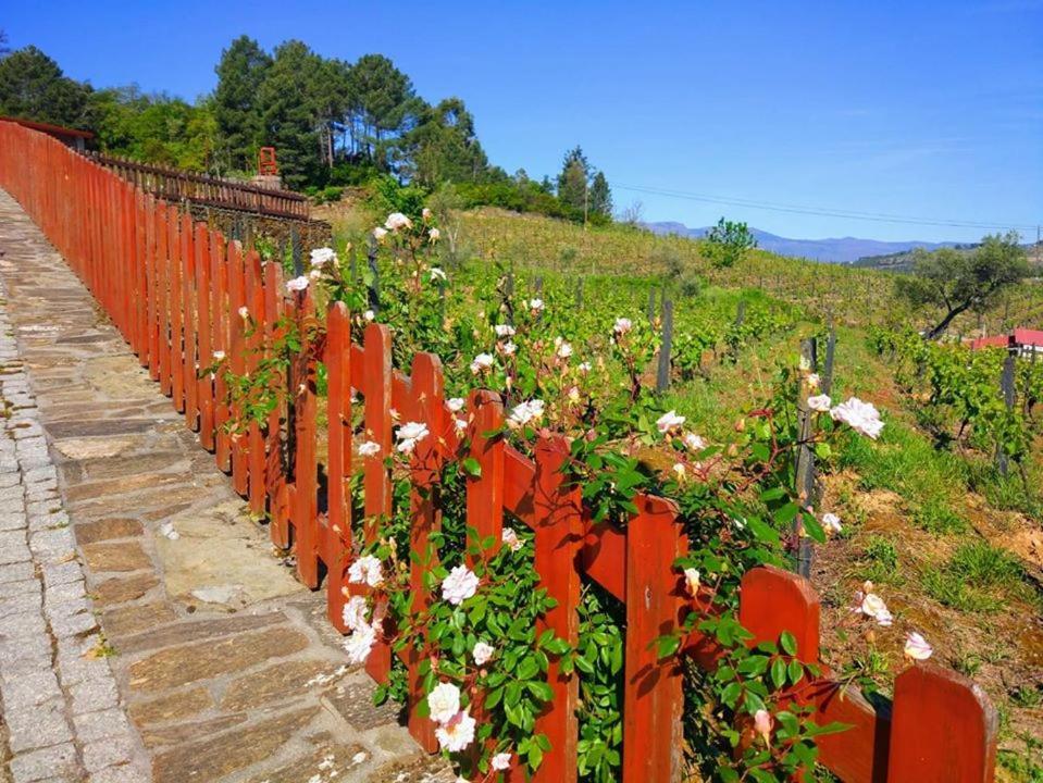 Отель Casa Do Poco - Douro Пезу-да-Регуа Экстерьер фото